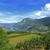 buchholz weinberge und blick auf suedtiroler unterland