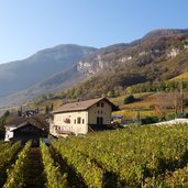 RS herbst weinlandschaft bei entiklar