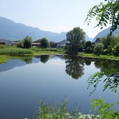 RS biotop alte etsch bei kurtinig