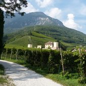 RS tramin schloss rechtental rechtenthal weinberge