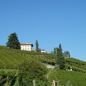 RS weinberge bei tramin kastelaz