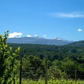 aussicht montigglerwald