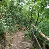 wald kaiserberg weg nr