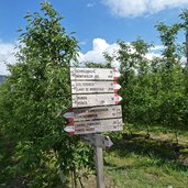 obstwiesen girlan wegweiser