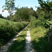 P Fennberg Fenner See Wanderweg ED