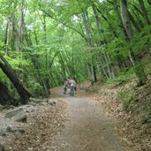 Wanderung Schlossruine Boymont Wald RD P