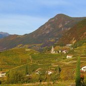 st madgalena bei rentsch bozen herbst weinreben