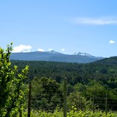 blick montiggler wald regglberg