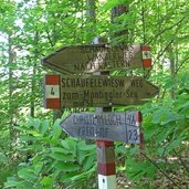 wegweiser schaeufelewiesn weg montiggler seen