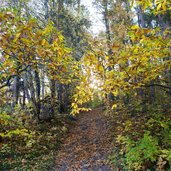 weg nr unterhalb von signat