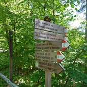 wegweiser wegenetz im montiggler wald