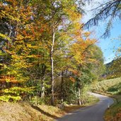 weg herbst bei signat ritten