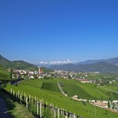 tramin dorfansicht mit weinbergen und friedhof