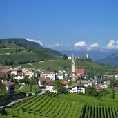 tramin dorfansicht mit weinbergen