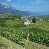 frangart umgebung weinlandschaft