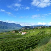 montan pinzoner strasse weinreben