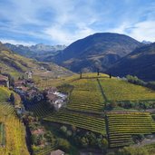 bozen weinlandschaft herbst st magdalena bei rentsch