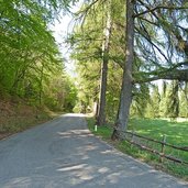 kurtatsch strasse bei fennhals