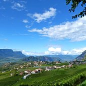 montan weinberge richtung bozen