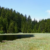 truden schwarzsee lago nero trodena schilfguertel