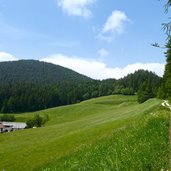 salurn ortsteil gfrill cauria hoefe bei gfrillner sattel und weg