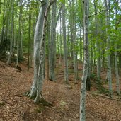 wanderweg obersirmian gaid buchenwald