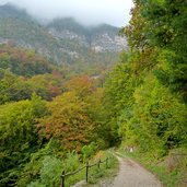 wanderweg kalterer hoehenweg