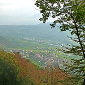 herbst kaltern st nikolaus nebel