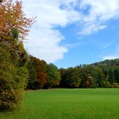 gruene wiese gand bei matschatsch