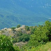 auer montan castelfeder feigenbaum