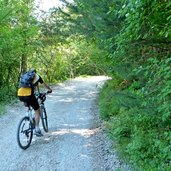 neumarkt ortsteil laag beginn duererweg forstweg