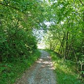 neumarkt ortsteil laag beginn duererweg ochsenkarrenweg