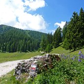 mendel roen bei malga romeno