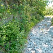 salurn duererweg zwischen laag und buchholz