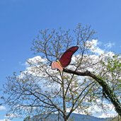 radweg eppan nicolussi leck schmetterling