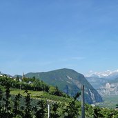 salurn ortsteil buchholz pochi salorno weinlandschaft dahinter brenta dolomiten