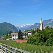 salurn ortsteil buchholz mot brenta dolomiten