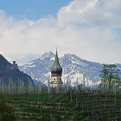 zwiebel im wein dom am lande pauls