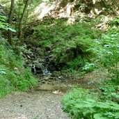 duererweg waldweg buchholz sauchpass