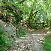 duererweg waldweg buchholz sauchpass