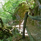 duererweg waldweg buchholz sauchpass