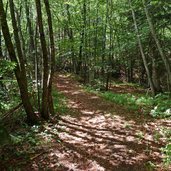 waldweg gstoager kanzel aufstieg