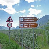 radroute nach tramin wegweiser