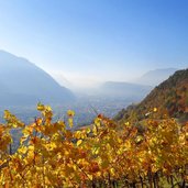 herbst blick auf bozen ab rafensteinerweg dunst