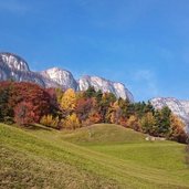 Buchwald Blick Richtung Kematscharte Grosse Scharte Gantkofel