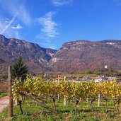 Blick zum Mendelkamm mit Penegal und Furgglauer Scharte