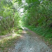 neumarkt laag duererweg