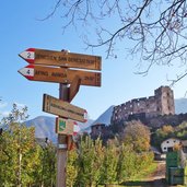 herbst jenesien wegweiser bei rafenstein