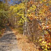 herbst jenesien weg nr