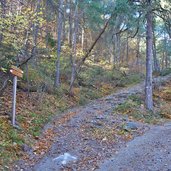 herbst jenesien weg nr